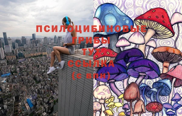 таблы Бронницы